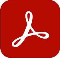 Adobe Acrobat Pro 2020 1 Lizenz(en) Slowakisch (65324403AD01A00)