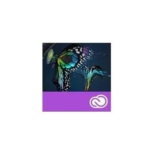 Adobe Premiere Pro CC for Enterprise - Abonnement neu - 1 Benutzer - VIP Select - Stufe 14 (100+) - 3 years commitment - Win, Mac - EU English