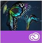 Adobe Premiere Pro CC for Enterprise - Subscription New - 1 Benutzer - VIP Select - Stufe 12 (10-49) - 3 years commitment - Win, Mac - Multi European Languages