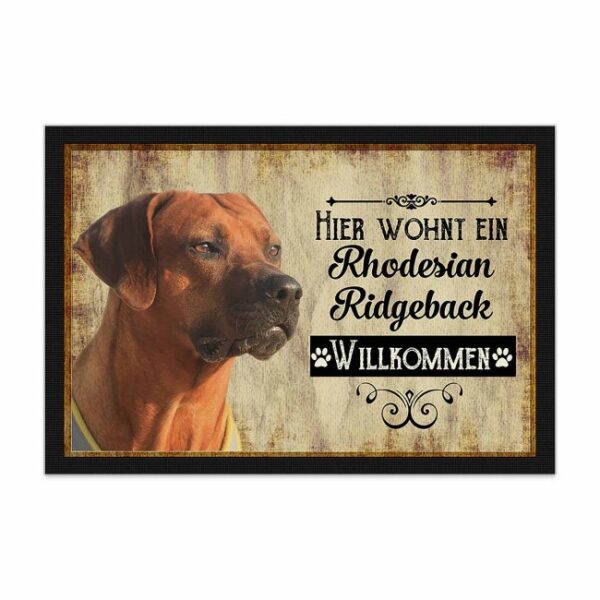 Wunderschöne Fußmatte mit Hundespruch - Hier wohnt ein Rhodesian Ridgeback. Eine besonders schöne Geschenkidee für alle Hundebesitzer in der...