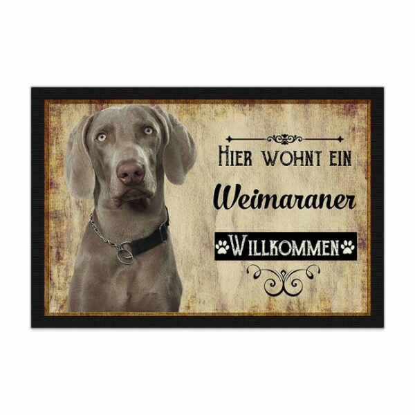 Wunderschöne Fußmatte mit Hundespruch - Hier wohnt ein Weimaraner. Eine besonders schöne Geschenkidee für alle Hundebesitzer in der Familie oder...