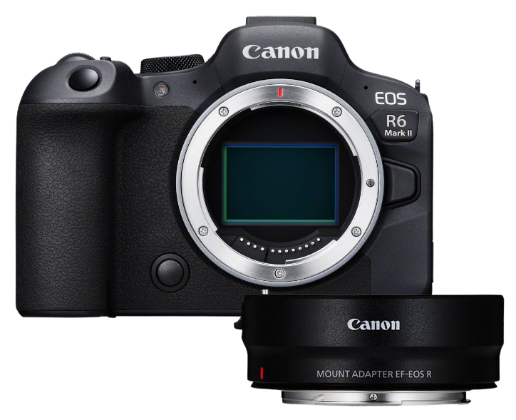 Die neue EOS R6 Mark II ist die bisher schnellste spiegellose Vollformatkamera von Canon mit kontinuierlicher Autofokusnachführung. Sie macht Reihenaufnahmen mit bis zu 40