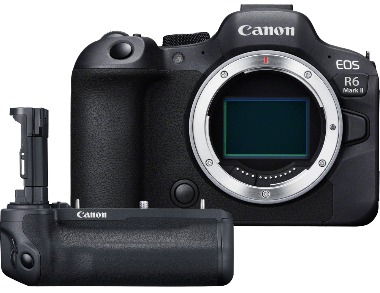 Die neue EOS R6 Mark II ist die bisher schnellste spiegellose Vollformatkamera von Canon mit kontinuierlicher Autofokusnachführung. Sie macht Reihenaufnahmen mit bis zu 40