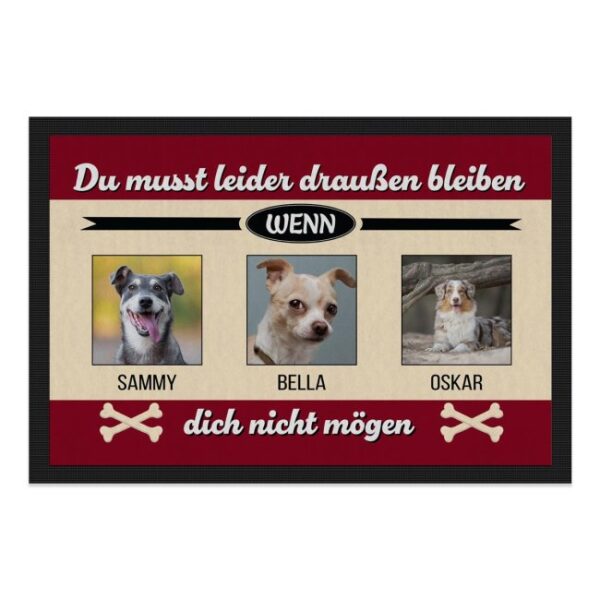 Du liebst deine Haustiere und möchtest deinen Besuch bereits an der Haustür zum Lächeln bringen? Dann ist unsere Fußmatte mit Hunde-Spruch - Du...